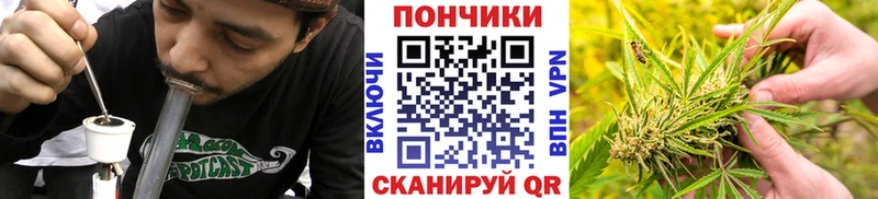 Марихуана SATIVA & INDICA  купить   Новый Оскол 